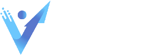 Virtual CFO
